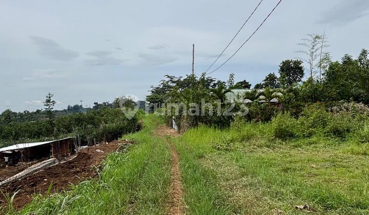 LAND WITH CERTIFICATE READY TO BUILD, POTENTIAL LOCATION SUITABLE FOR RENTAL BUSINESS.