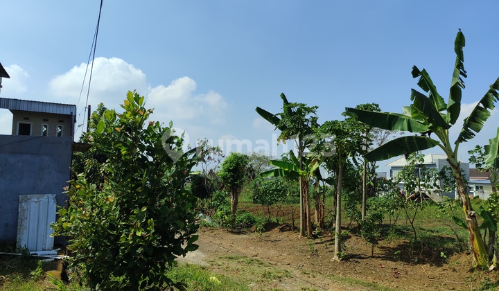 Kavling Perumahan Terbaik dengan Potensi Nilai Naik Kavling Perumahan Terbaik dengan Potensi Nilai Naik