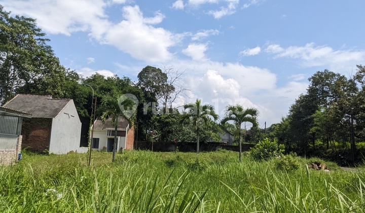 TANAH MURAH PINGGIR JALAN PINGGIR JALAN WONOKOYO MALANG TANAH MURAH PINGGIR JALAN PINGGIR JALAN WONOKOYO MALANG