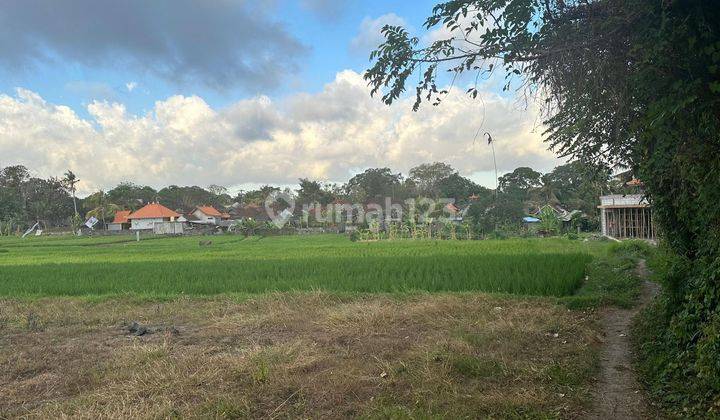 Disewakan tanah rice paddy view di Kaba Kaba dekat Canggu Bali 2