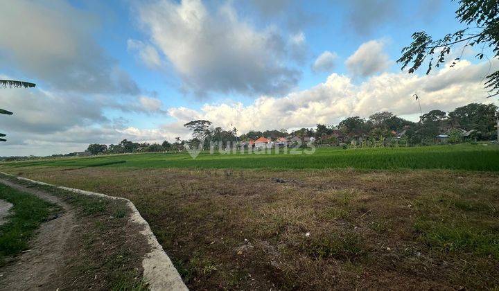 Disewakan tanah rice paddy view di Kaba Kaba dekat Canggu Bali 1