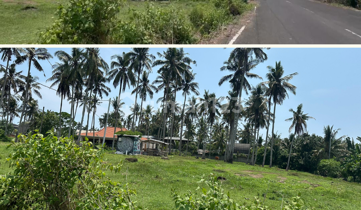For Rent Kedungu Land Strategic Location Beachside Seafront For Rent Kedungu Land Strategic Location Beachside Seafront