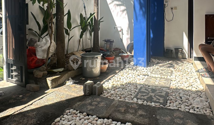 For Sale Rumah Kerobokan Kelod Lokasi Strategis Full Furnish Siap Huni 2