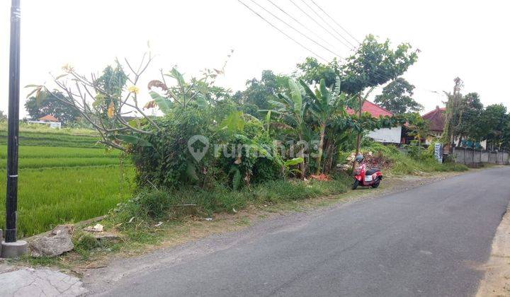 Disewakan tanah buat villa di jalan raya Tumbak Bayuh Perenenan Canggu Bali 2