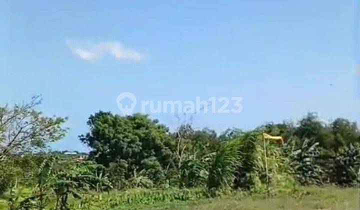 Disewakan tanah padat cocok buat villa area Pererenan Tumbak Bayuh Canggu Bali