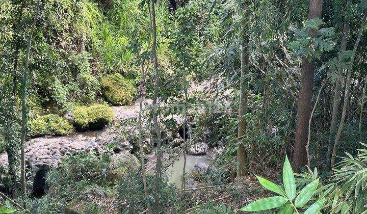 Disewakan tanah river view dan rice paddy view area Kaba Kaba dekat Canggu Bali 2