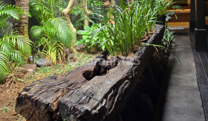 For Rent Villa Sanur Westside Large Garden And Outdoor Space 3Br