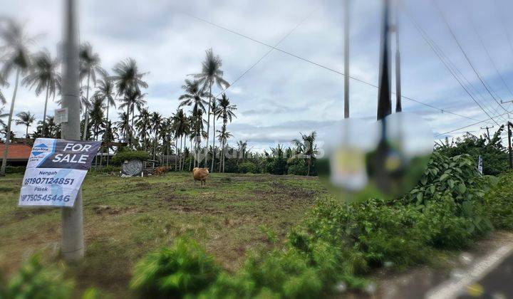 Land For Rent Area Kedungu Close To Beach, Near Canggu, Tabanan Bali  2