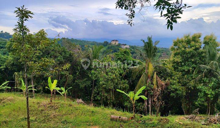 Tanah 41 m2 SHM Singaraja, Buleleng 2