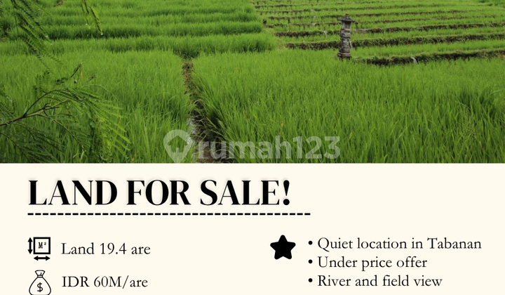Dijual Tanah View Sawah Selemadeg Tabanan 19 Are Lokasi Strategis