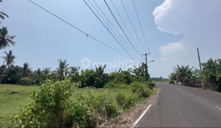 Land For Rent Area Kedungu Close To Beach, Near Canggu, Tabanan Bali  1