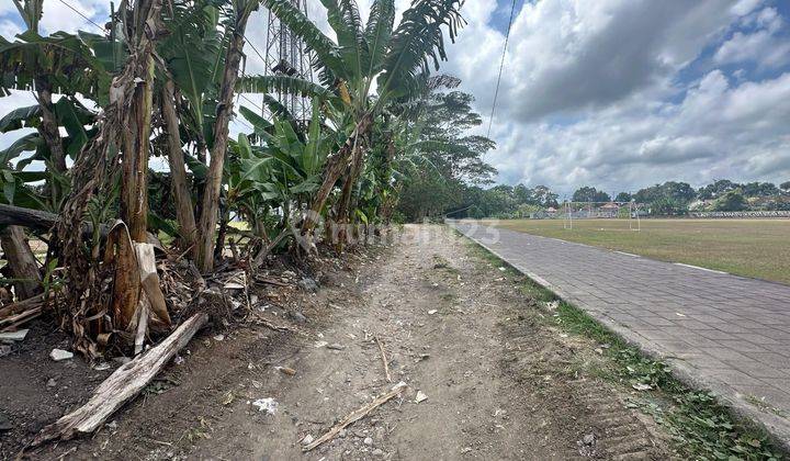 Cheapest land for rent suitable for villas in the Canggu area, Bali 2