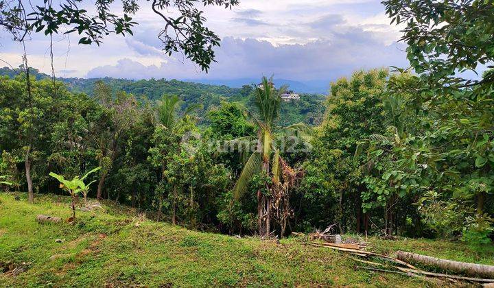 Tanah 41 m2 SHM Singaraja, Buleleng 1