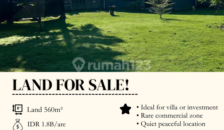 For Sale Rare Land Pererenan Commercial Zone Near Beach For Sale Rare Land Pererenan Commercial Zone Near Beach