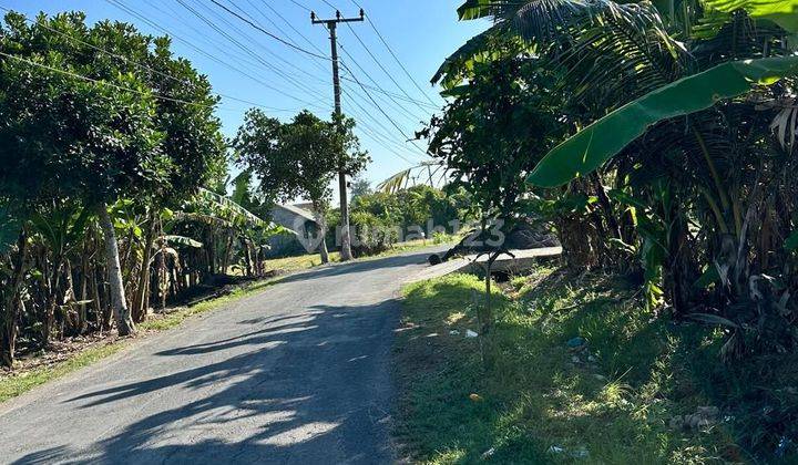 Dijual Cepat Tanah Jalan Utama Pantai Lima Dekat Pantai Area Perenanan Canggu Bali 2