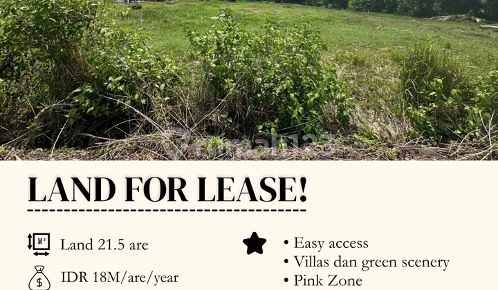 For Rent Kedungu Land Strategic Location Beachside Seafront For Rent Kedungu Land Strategic Location Beachside Seafront