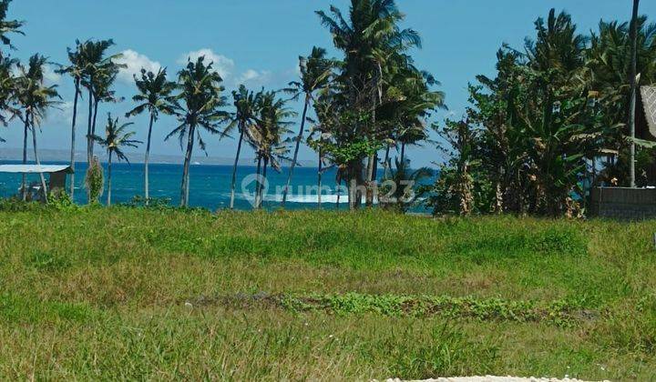 Land for sale directly Seseh Beach near Nyanyi Beach Canggu Bali 1