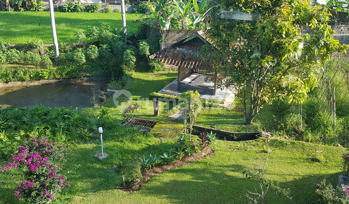 Beautiful 3000 m² location with hill view, near Pizza Hut Cisarua, suitable for a villa complex.