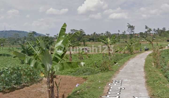 Beautiful Mount Ciremai View Plot 2,920 m2 Suitable for Villa