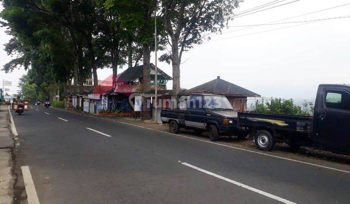 Tanah luas kebun apel lokasi sejuk di dataran tinggi cocok untuk wisata kebun apel 1