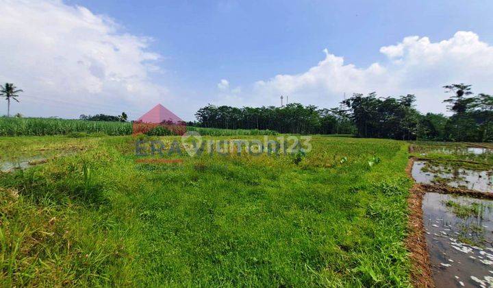 Tanah daerah wagir cocok utk lahan pertanian  1