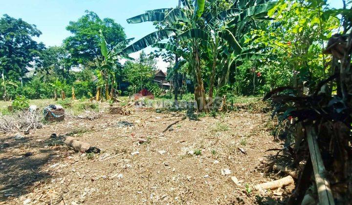 Tanah Cocok Untuk Kebun Atau Gudang Dekat Poros Jalan Provinsi 1