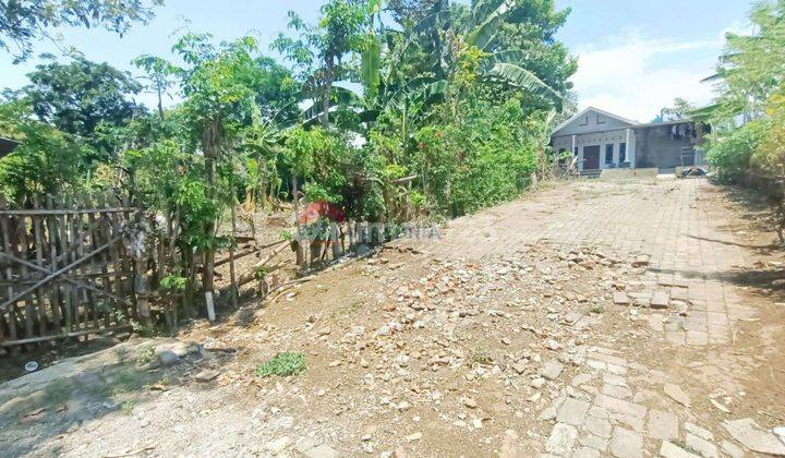 Tanah Cocok Untuk Kebun Atau Gudang Dekat Poros Jalan Provinsi 2