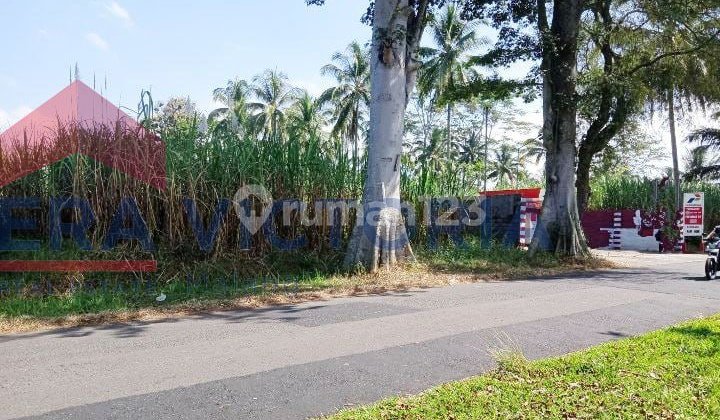 Tanah Siap Bangun Cocok untuk di Bangun Gudang,Pondok Pesantren atau Perkebunan
