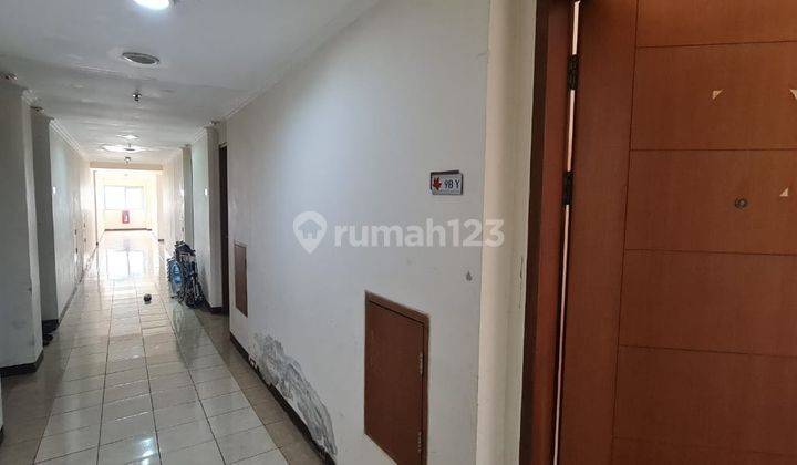 Apartement Maple Park Apartemenn 1 BR 23m2 View Pool Best View Furnished Bagus 1