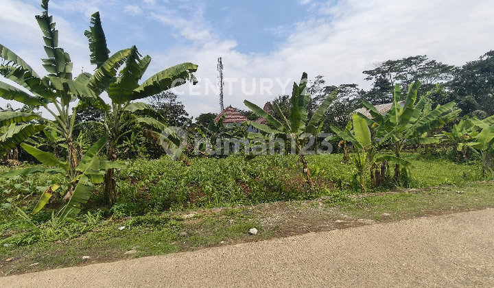 Tanah Pinggir Jalan Raya Di Bunisari Cibinong Bogor R2258 Tanah Pinggir Jalan Raya Di Bunisari Cibinong Bogor R2258