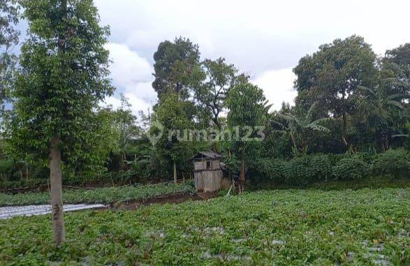 Dijual tanah kebon di Cikole Lembang 1