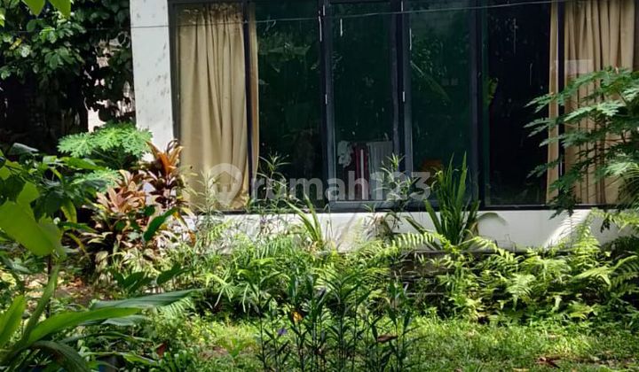 Rumah Murah Luas di Bintaro