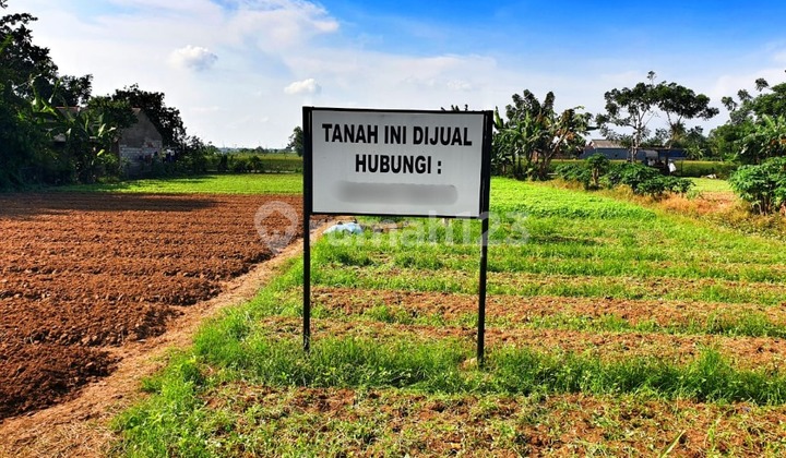Dijual Tanah Matang Mainroad Babelan Bekasi