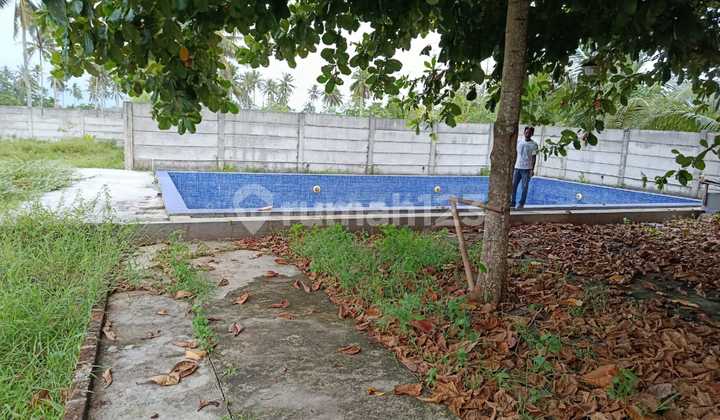 Tanah Murah Plus Bangunan Shm Luas 1050.0 M² Di Pangandaran Tanah Murah Plus Bangunan Shm Luas 1050.0 M² Di Pangandaran