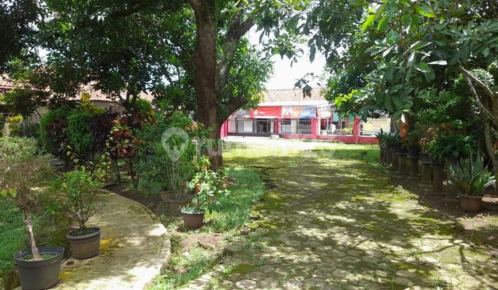 Tanah Murah Plus Rumah Luas 1196.0 M² Shm Di Subang Kota