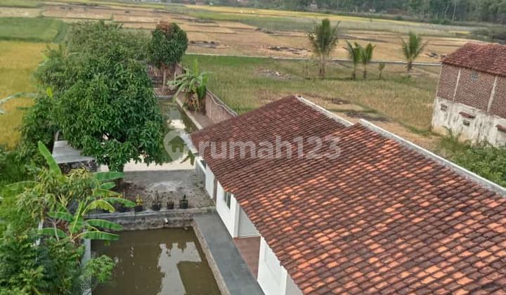 Vila Murah Ada Kolam Pancing Luas 633M² SHM di Kadungora Garut