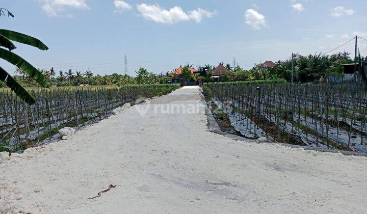 Tanah Kavling Murah  Cocok UntukVilla Dekat Pantai Yeh Gangga  1