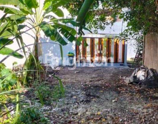 TANAH SIAP BANGUN LINGKUNGAN VILLA DI CANGGU BADUNG 1