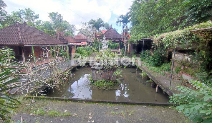 BONUS LAND BUILDING STRATEGIC LOCATION IN MAS UBUD 2