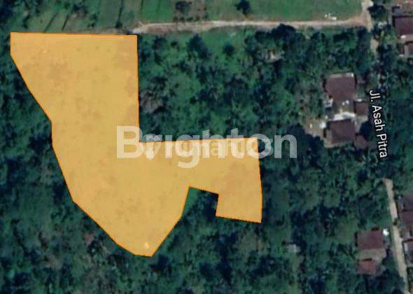 Tanah Di Jual View Sawah Dan Gunung Cocok  Villa  Pitra Tabanan 2