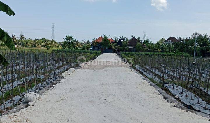 Tanah Kavling Murah Cocok Untuk Villa  Tempat Tinggal  Sudimara  1