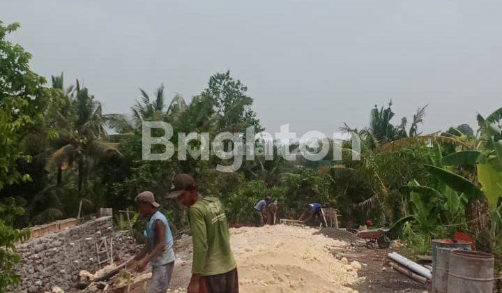 TANAH SIAP BANGUN ZONA KUNING  SIAP BANGUN NYITDAH TABANAN 2