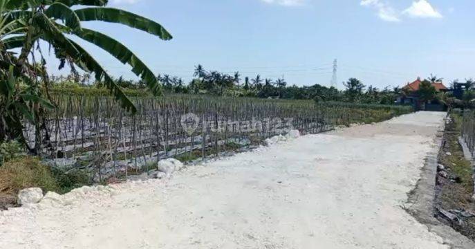 Tanah Kavling Murah  Cocok UntukVilla Dekat Pantai Yeh Gangga  2