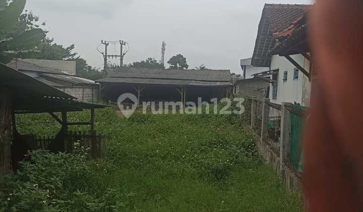 Disewa Tanah dan Bangunanx Toko Kayu Cipari Panongan Disewa Tanah dan Bangunanx Toko Kayu Cipari Panongan