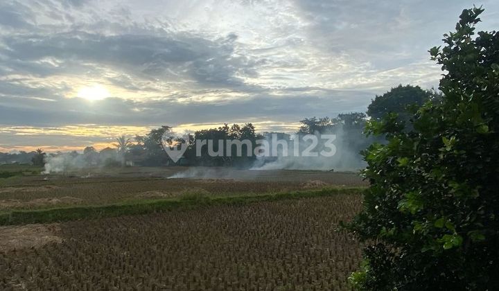 Dijual tanah padat sawah legok Dijual tanah padat sawah legok