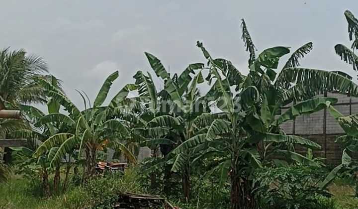 Dijual Tanah Balaraja Tangerang Dijual Tanah Balaraja Tangerang