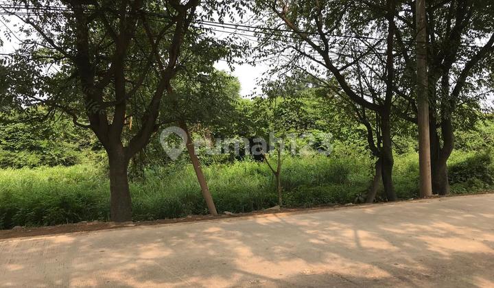 Dijual tanah parung panjang Dijual tanah parung panjang