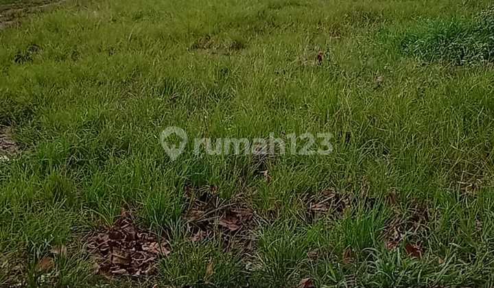 Dijual Tanah Kosong Sempur Kadu Curug Dijual Tanah Kosong Sempur Kadu Curug