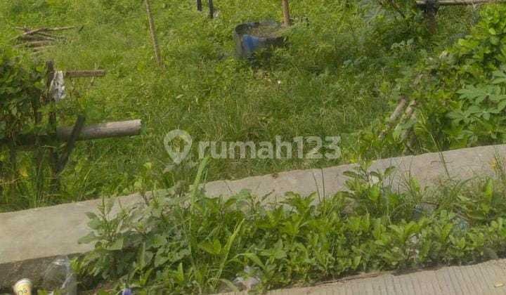 Dijual lahan kosong di maja Dijual lahan kosong di maja