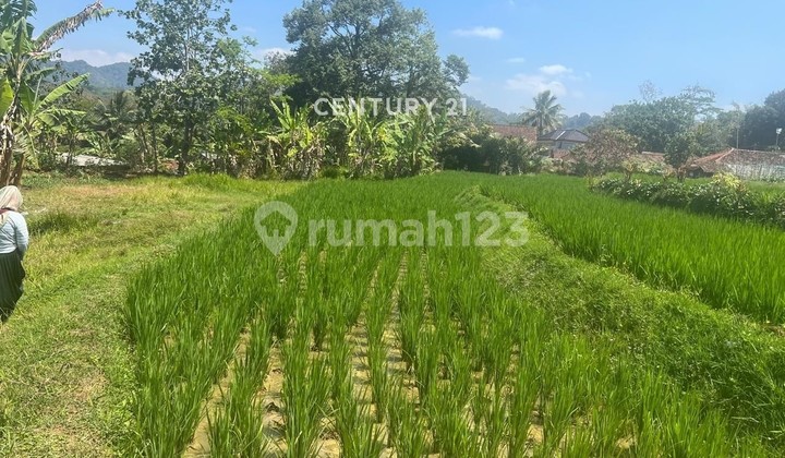 Tanah Murah Strategis Di Cikadu Kuningan 